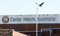 Melbourne Virus Hotspot Home to Cedar Meats, Source of Previous Outbreak