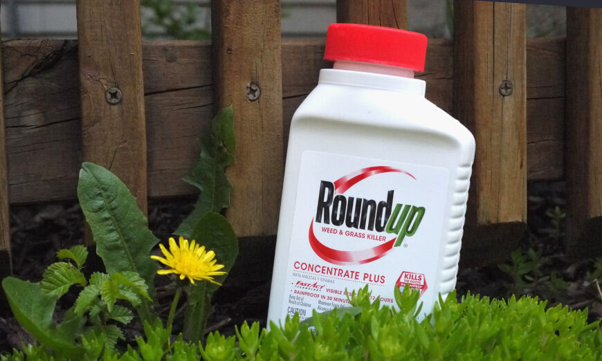 Roundup weed killer is shown in Chicago, Ill., on May 14, 2019. (Scott Olson/Getty Images)