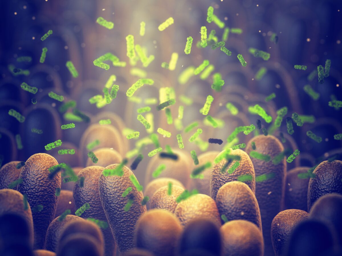 A 3D illustraion of what a healthy intenstinal lining looks like at a microscopic level. (Rost9/Shutterstock)
