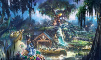 Disney to Confirm Reopening Timeline of Splash Mountain in July