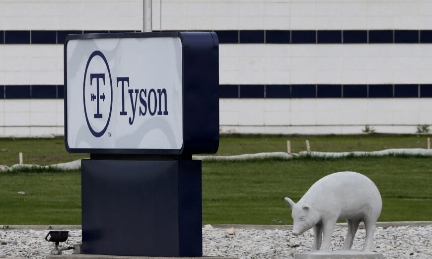 Tyson Foods invests in Protix, plans US insect ingredient facility.