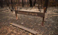 Record Land Purchase for NSW National Park