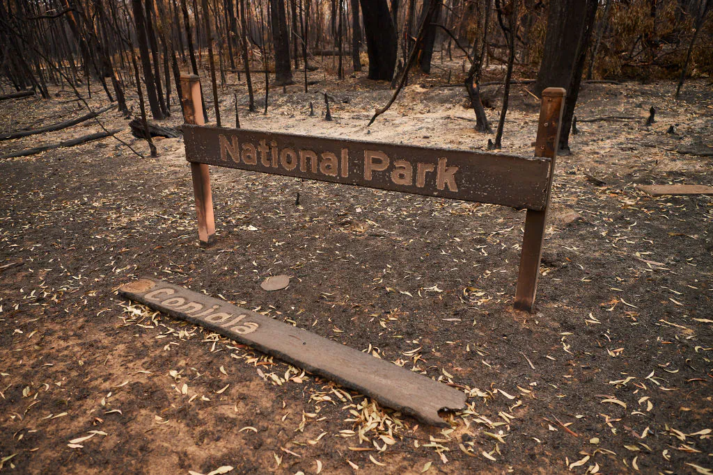 A burnt out "Conjola National Park" sign is pictured on January 05, 2020 in Conjola, NSW, Australia. (Brett Hemmings/Getty Images)