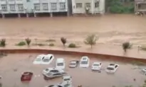 Flooding in Chongqing and Wuhan Uprooted Huge Trees