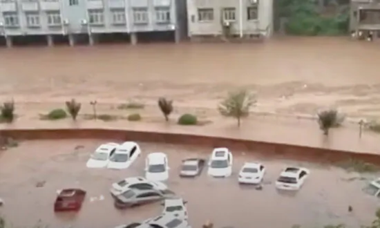 Flooding in Chongqing and Wuhan Uprooted Huge Trees