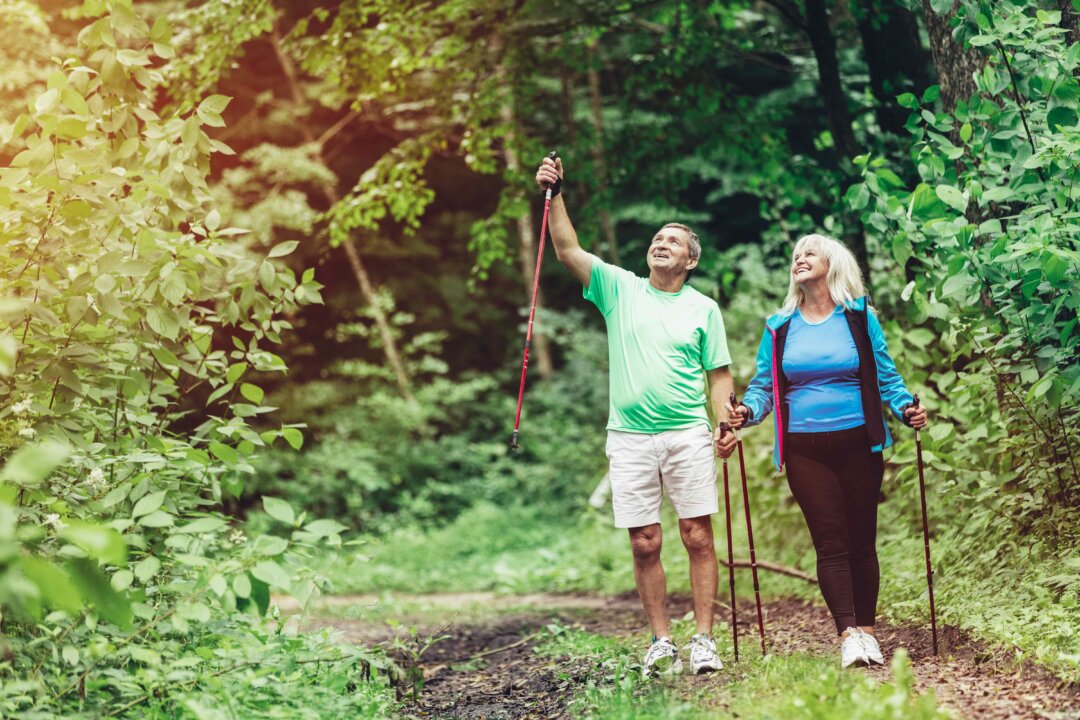 Immersing ourselves in natural environments, what the Japanese call "forest bathing" is being studied for its mental and physical health benefits. (PHOTOCREO Michal Bednarek/Shuterstock)