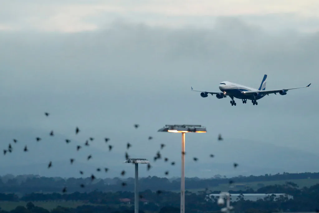 A charter flight from Uruguay lands at Melbourne Airport on April 12, 2020 in Melbourne, Australia. (Darrian Traynor/Getty Images)