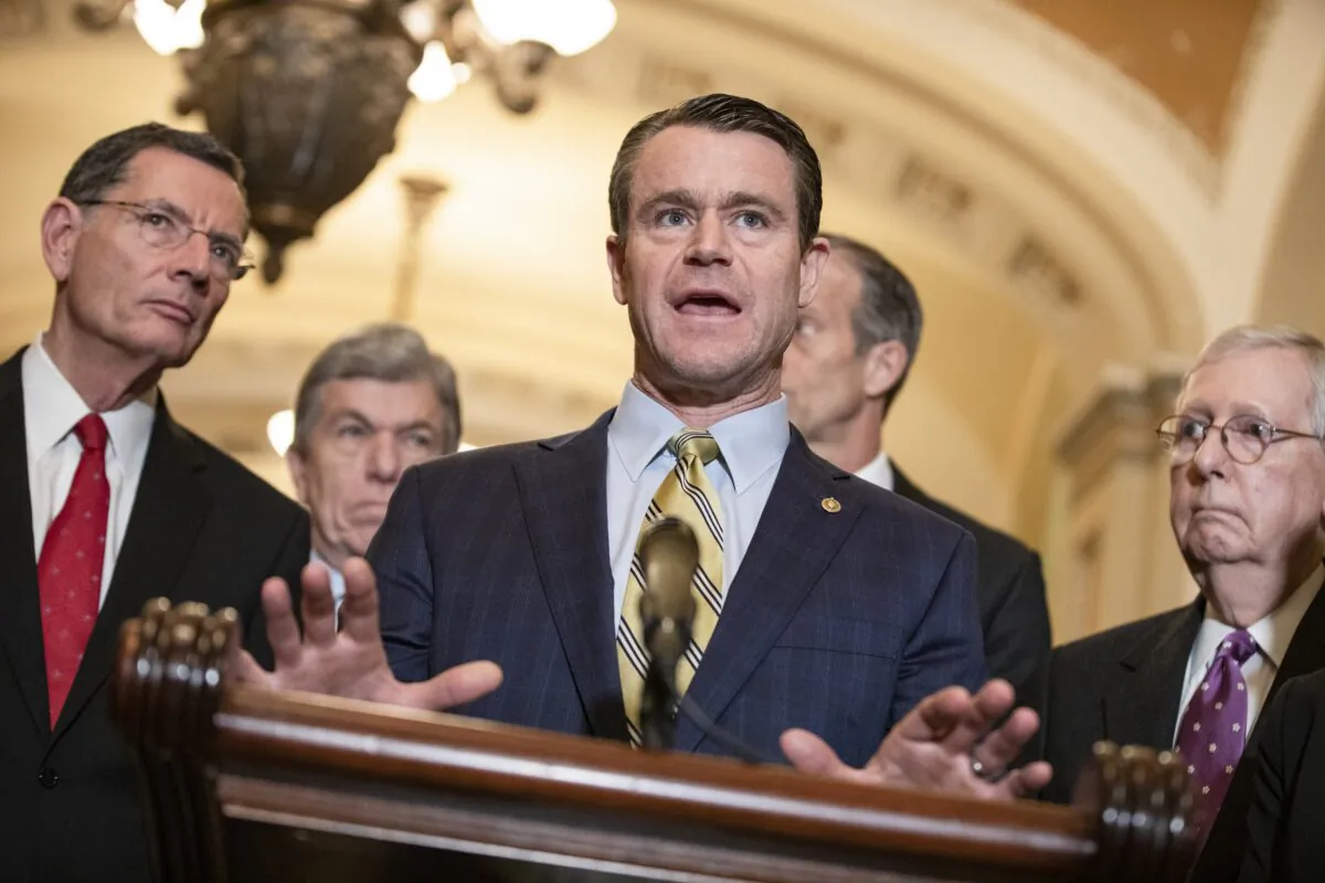 Republican Senatorial Committee Chairman Todd Young (R-Ind.) speaks to reporters on March 10, 2020, (Samuel Corum/Getty Images)