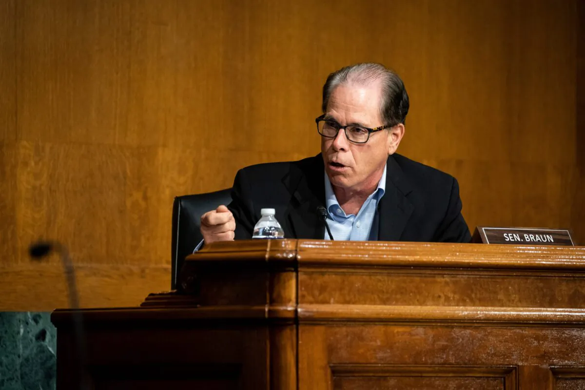 Sen. Mike Braun (R-Ind.) speaks in Washington on May 20, 2020. (Al Drago/Pool/AFP via Getty Images