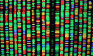 Is Beijing Weaponizing Your DNA?