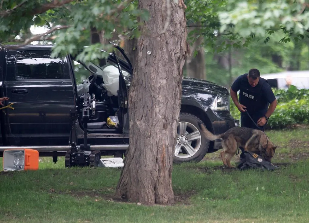 An RCMP officer works with a police dog as they move through the contents of a pick-up truck on the grounds of Rideau Hall in Ottawa, on July 2, 2020. (The Canadian Press/Adrian Wyld)