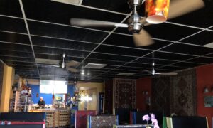 Scientists Discuss Using UV Light to Fight COVID-19