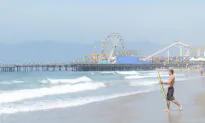 Lifeguards Spot Single-Prop Plane Crash Into the Ocean, Then Dive In to Save Injured Pilot