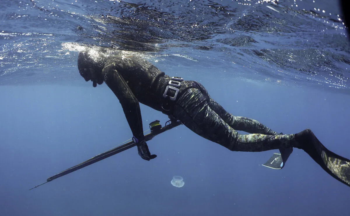 Underwater spearfishing stock photo, July 29, 2019. (Ibrahim Chalhoub/AFP via Getty Images)