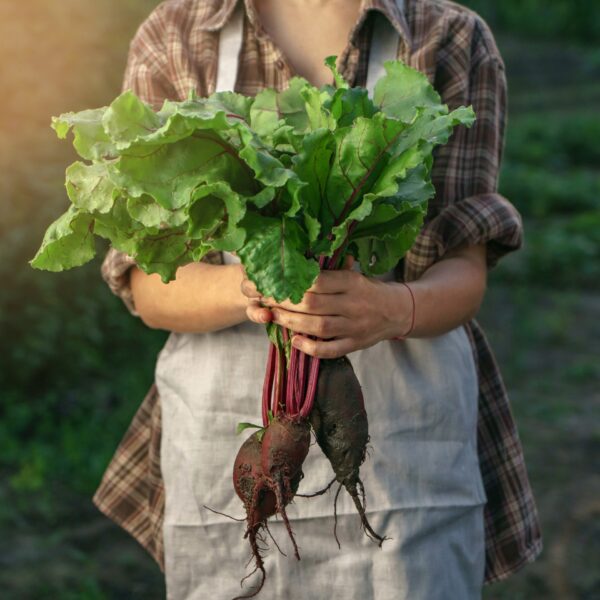 Epoch Times Photo
