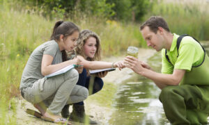 'Pandemic Pods' Make Homeschooling Easier for Parents, Profitable for Teachers