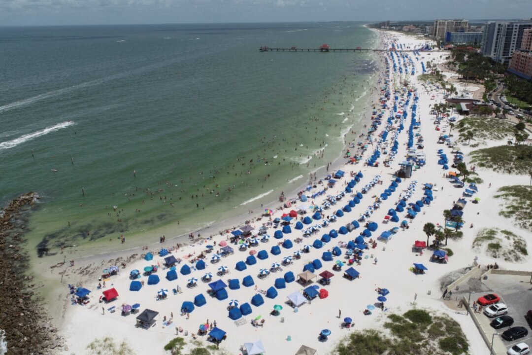 Giant Seaweed Blob Carrying Harmful Algal Bloom Heads Toward Florida ...