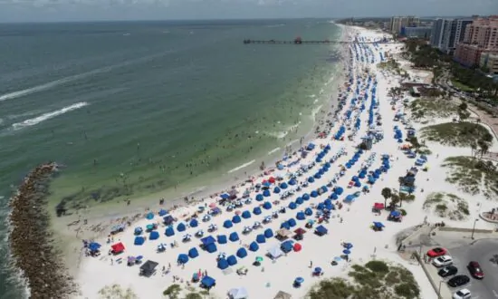 Giant Seaweed Blob Carrying Harmful Algal Bloom Heads Toward Florida Coast