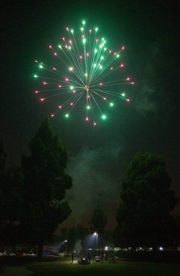 Epoch Times Photo