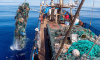 Massive Pacific Ocean Cleanup Sets Record, Hauls Over 100 Tons of Toxic Plastic Waste