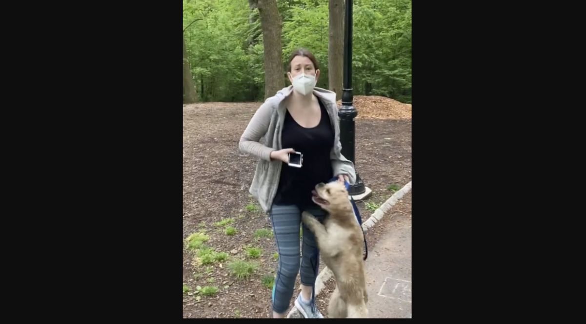 Charge Against Central Park Dog-Walker Amy Cooper Dropped After 'Racial Equality' Therapy - Vimarsana News