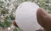 CCP Virus-Shaped Hailstones Fell From the Sky Destroying Crops in Beijing