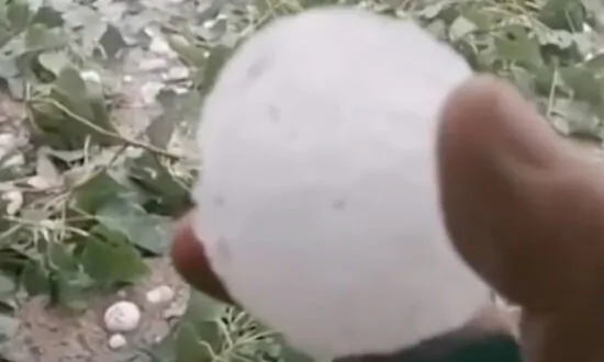 CCP Virus-Shaped Hailstones Fell From the Sky Destroying Crops in Beijing