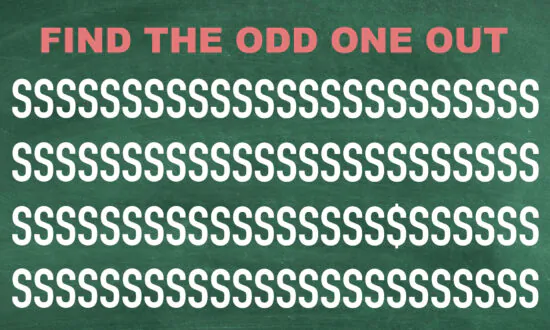 You’re Probably a Genius If You Can Find the Odd One Out in 10 Seconds or Less