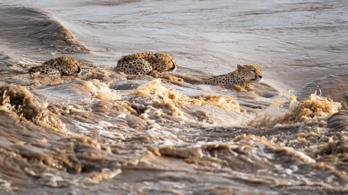 (Photo: Arnfinn Johansen / www.arnfinnjohansen.com @ Oltepesi Tented Safari Camp / www.oltepesi.com)