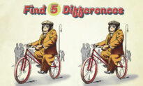 Can You Spot 5 Differences in This Cartoon of a Monkey Riding a Bicycle? Experts Only