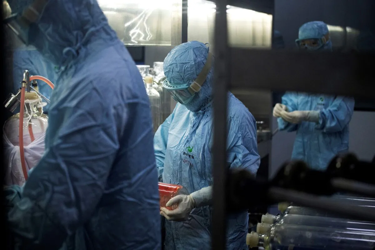 Researchers in protective suits work at a biopharmaceutical lab in Shenyang city, Liaoning Province, China, on June 9, 2020. (NOEL CELIS/AFP via Getty Images)