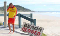 Western Australia Shark Victim Search Enters Third Day
