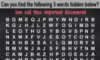 Can You Find the 5 Hidden Words in This Random-Letter Puzzle? Expert Puzzlers Only