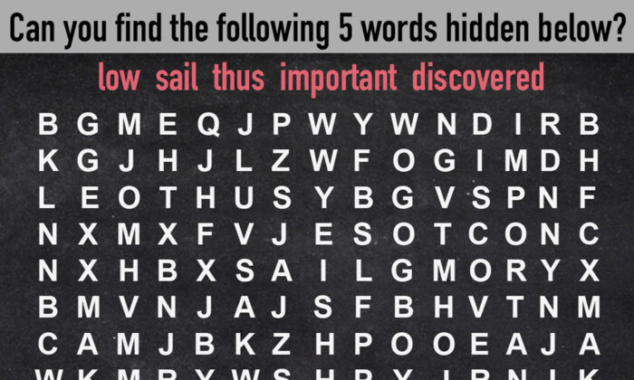 Can You Find the 5 Hidden Words in This Random-Letter Puzzle? Expert
