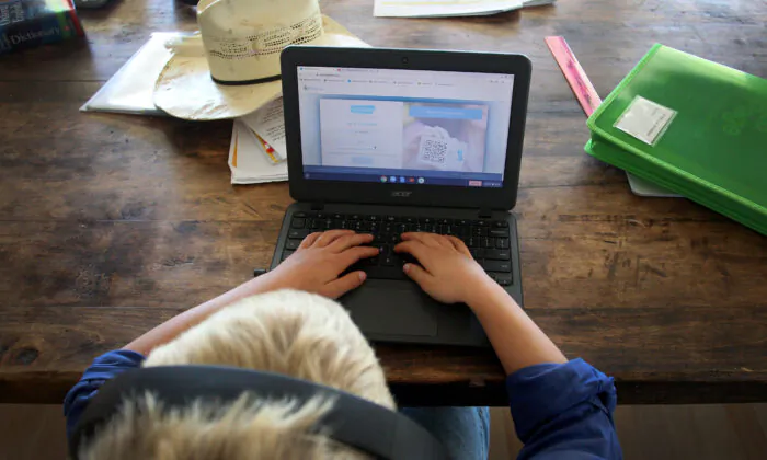A child does his schoolwork on a computer at home on April 5, 2020. (Lisa Maree Williams/Getty Images)