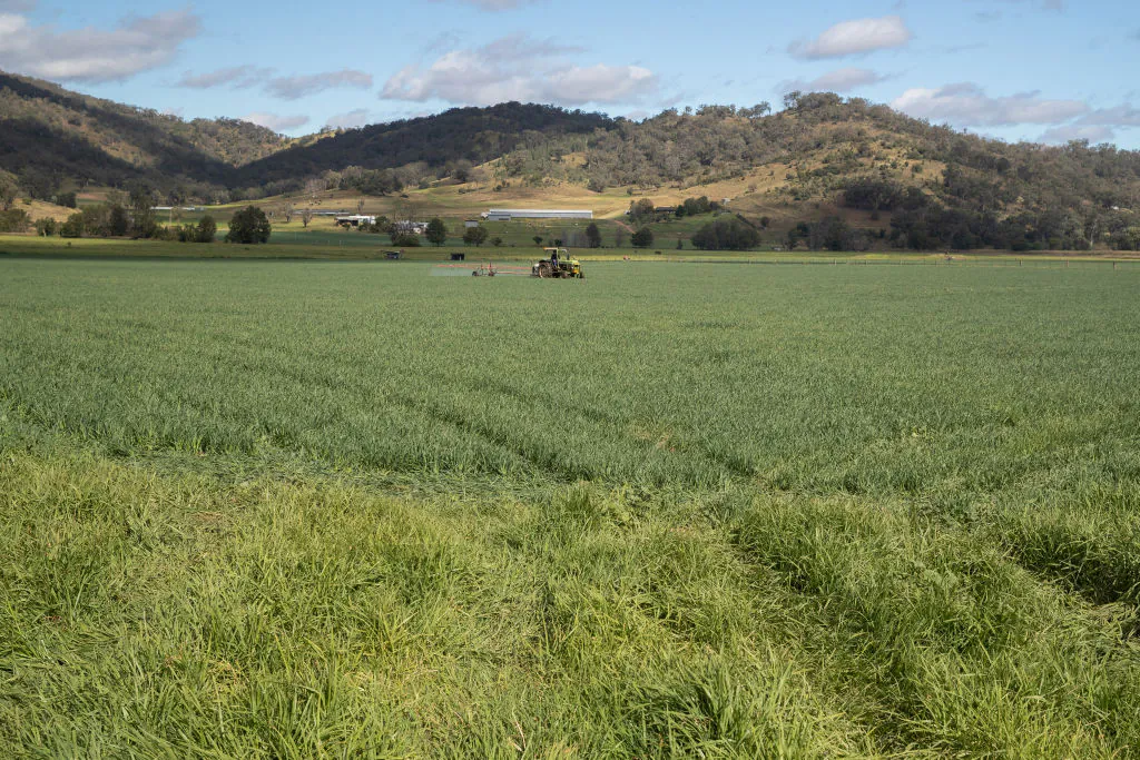 A farmer on a tractor sprays his crop in north west New South Wales on May 05, 2020 in Dungowan, Australia. (Mark Kolbe/Getty Images)