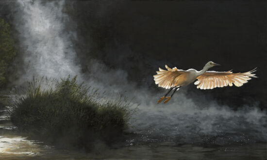 Behold the Beauty: ‘Daybreak at River’s Edge’