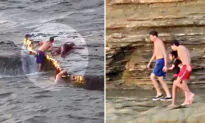 Vacationing Teens Help Rescue 2 Girls Drowning in the Ocean at Sunset Cliffs in San Diego