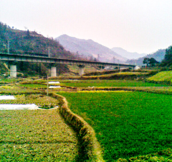 shiyan jiang lianjiao hometown