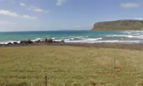 Dad Scares Off Shark That Pulled 10-Year-Old Son From Boat, Attacked Him Off Coast of Tasmania