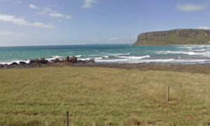 Dad Scares Off Shark That Pulled 10-Year-Old Son From Boat, Attacked Him Off Coast of Tasmania