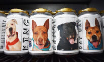 Owner Spots Long-Lost Dog on a Beer Can 3 Years After the Pup Went Missing