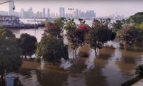 River Levels Much Higher Than Street Level in Wuhan