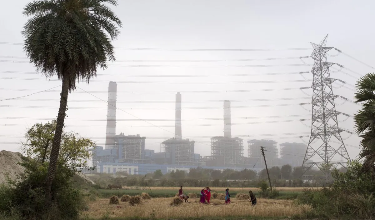 Indian villagers harvest a field of cereal crops near the Barh Super Thermal Power Station in Barh, in the Indian state of Bihar on April 6, 2019. (Xavier Galiana/AFP via Getty Images)