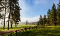 10 Best Hotels and Resorts for a Self-Contained Summer Trip