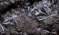 America’s First Vanadium Mine Project Getting Fast-Tracked to Permit