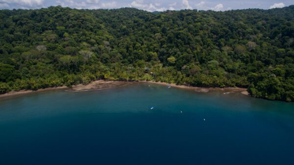 AERIAL CATIVO BEACH (1 MILE LONG)