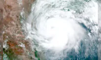Hurricane Hanna Makes Landfall in Texas as 2 Other Storms Threaten Hawaii and the Caribbean
