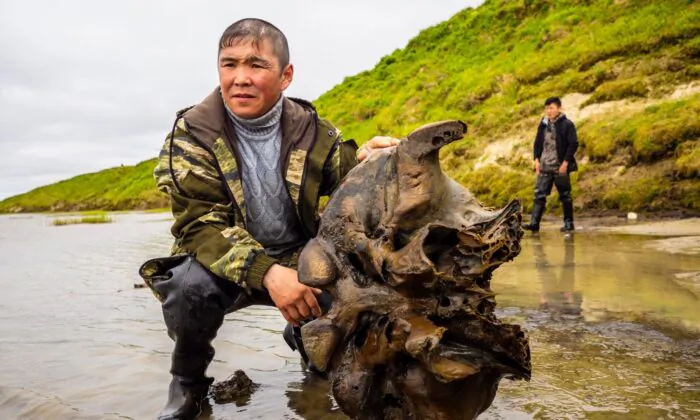 A man holds a mammoth bone fragment in the Pechevalavato Lake in the Yamalo-Nenets region, Russia, on July 22, 2020. (Artem Cheremisov/Governor of Yamalo-Nenets region of Russia Press Office via AP)