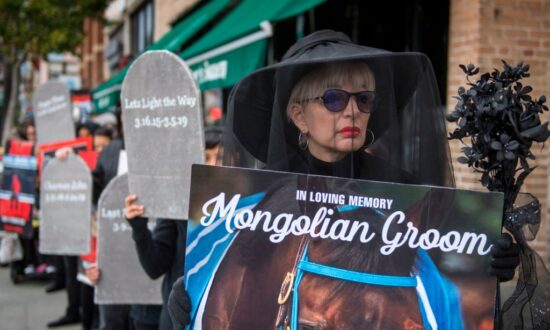 Another Horse Dies From Racing Injury at Los Alamitos